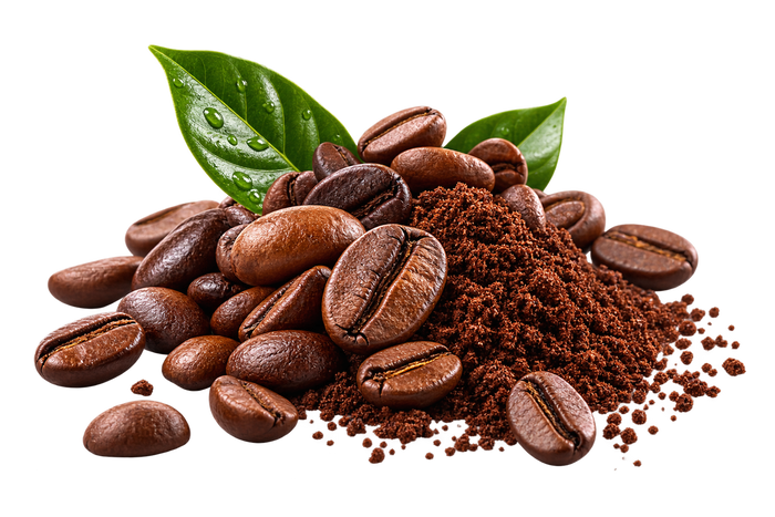 Coffee Extract