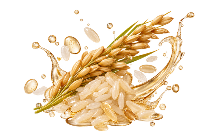 Hydrolyzed Rice Extract